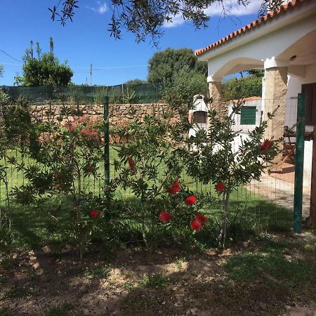 Azienda Multifunzionale S'Ozastro Маринелла Экстерьер фото