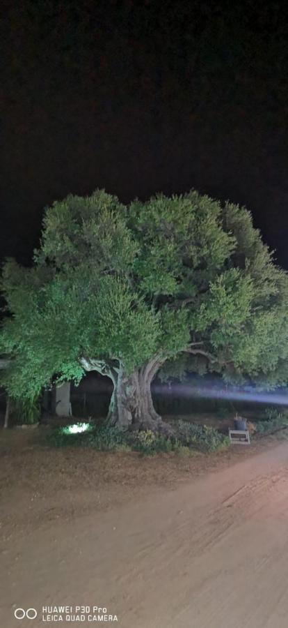 Azienda Multifunzionale S'Ozastro Маринелла Экстерьер фото